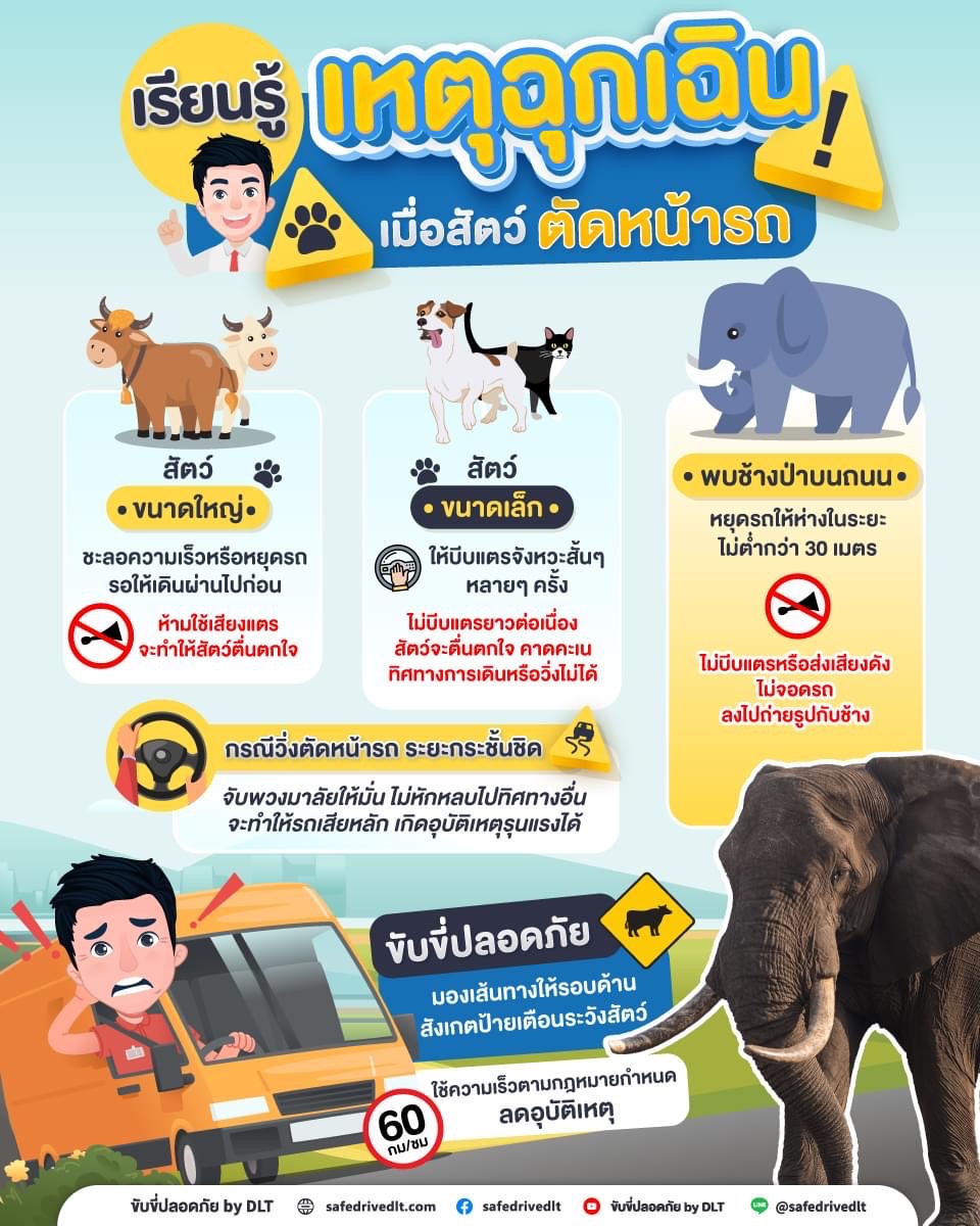 เรียนรู้เหตุฉุกเฉินเมื่อสัตว์ตัดหน้ารถ